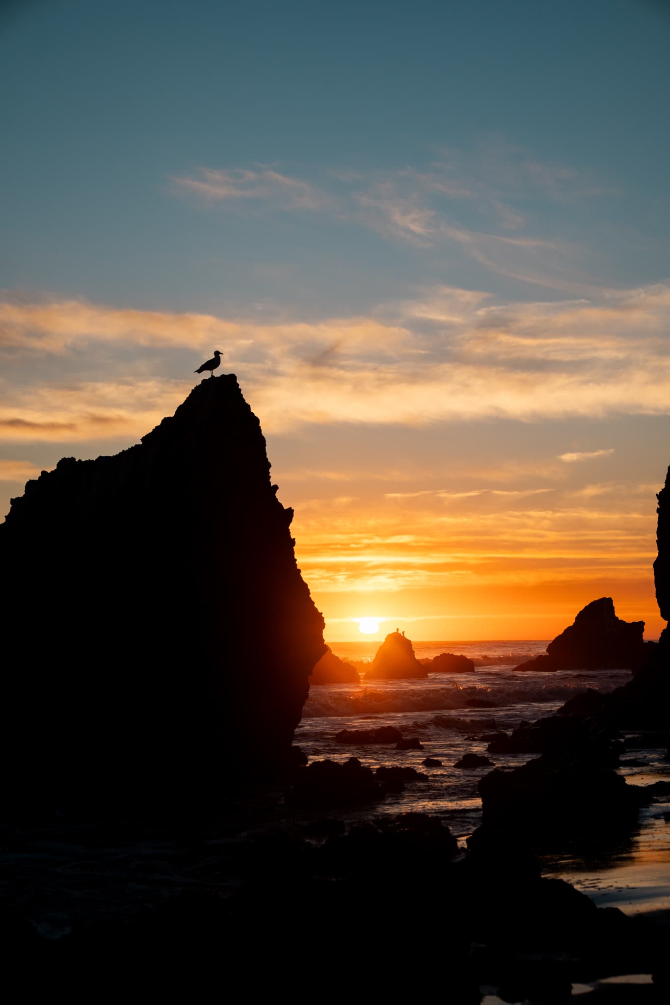 A gull perched on a sea stack as the sun drops between the rocks