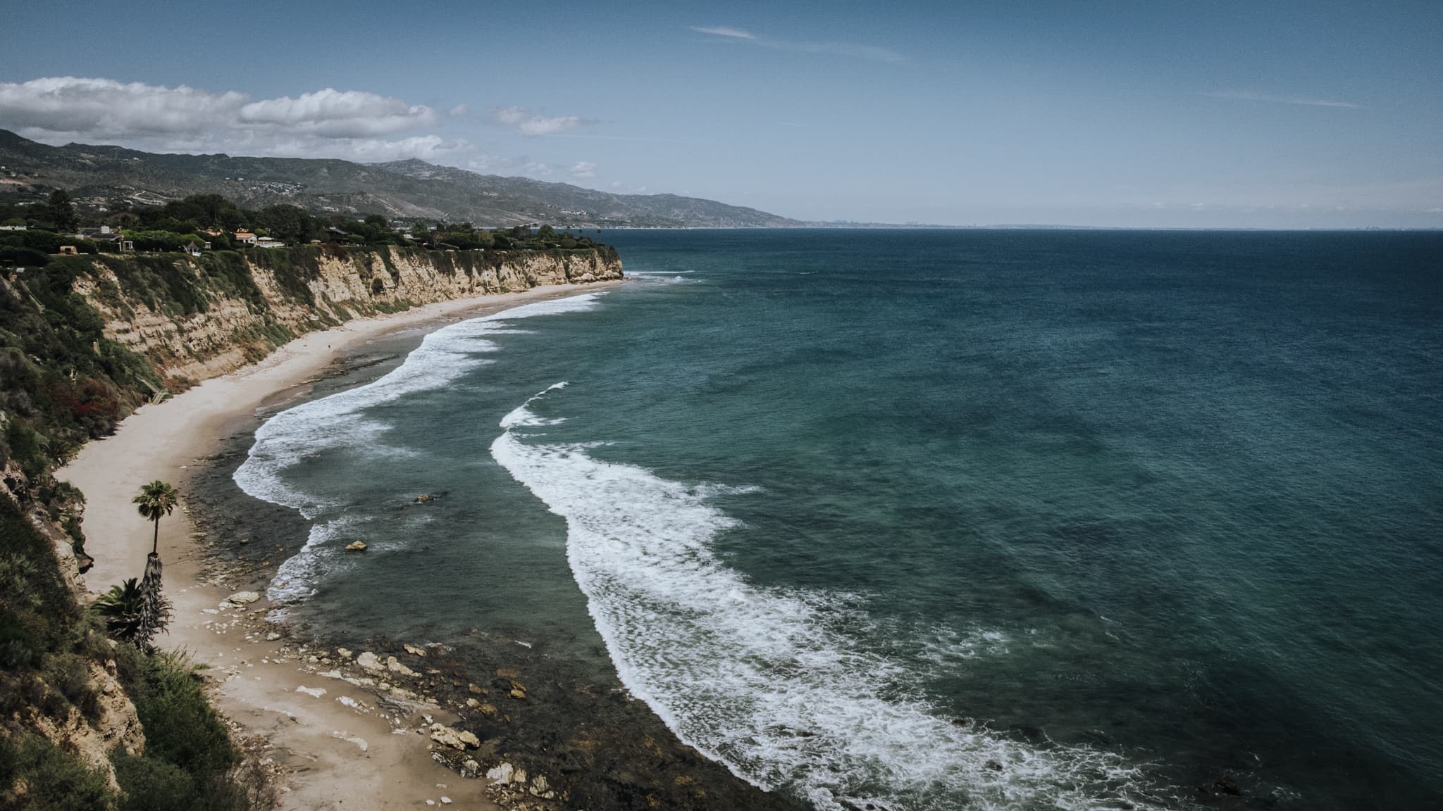 A crescent of sand below the cliffs, a lone palm on the beach