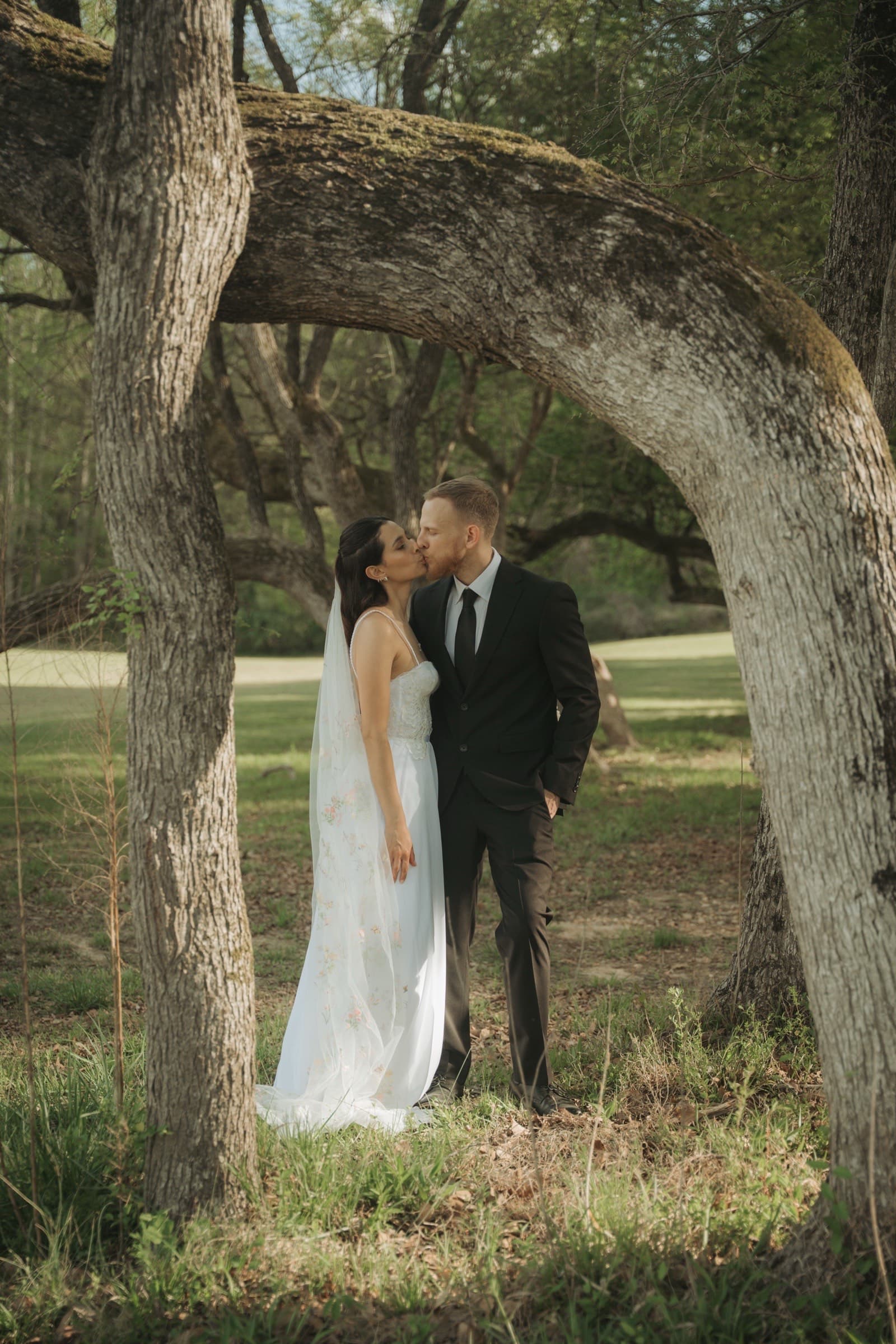 A kiss beneath the arch of an old oak