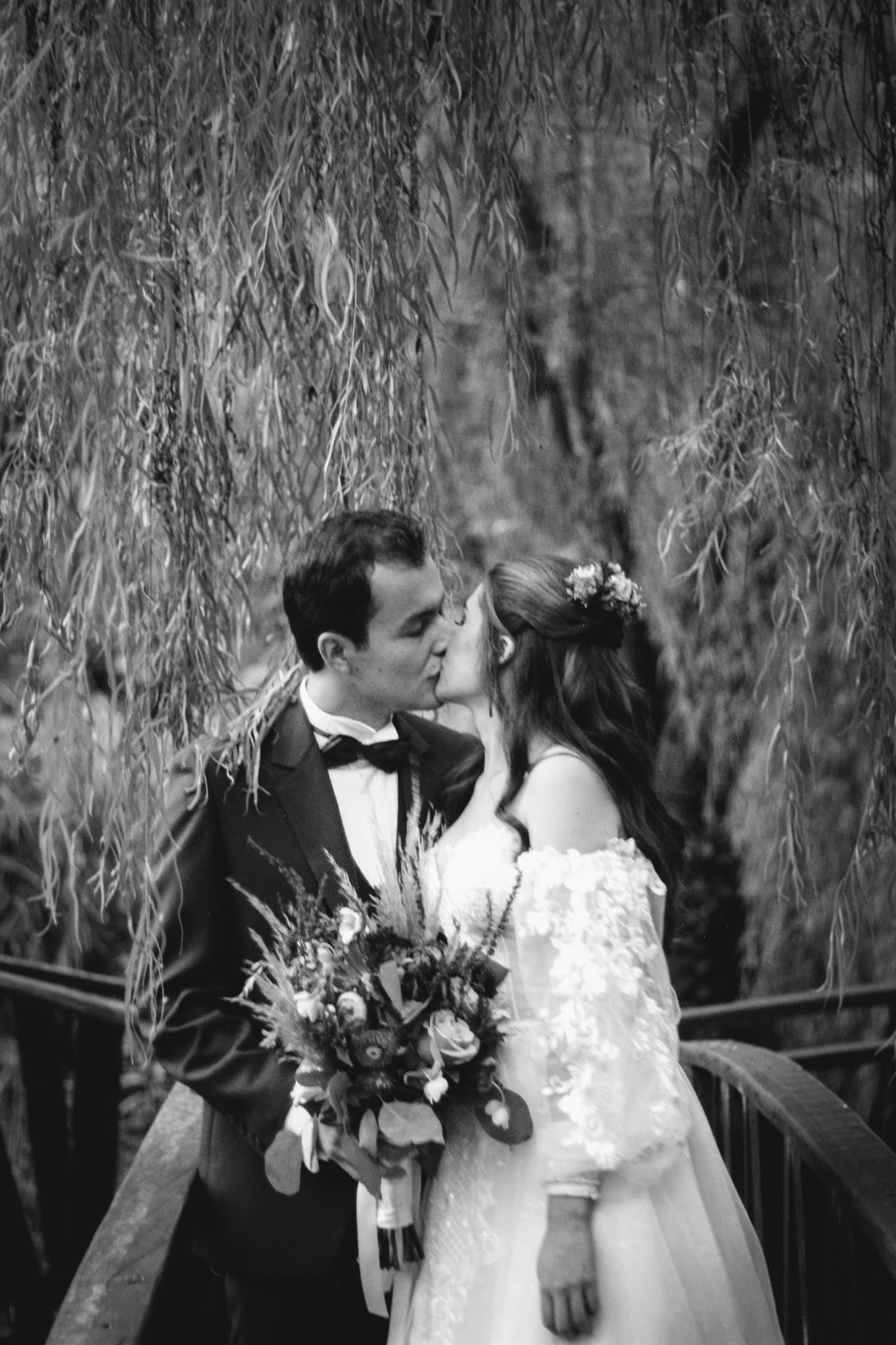 A kiss on the footbridge beneath the willow